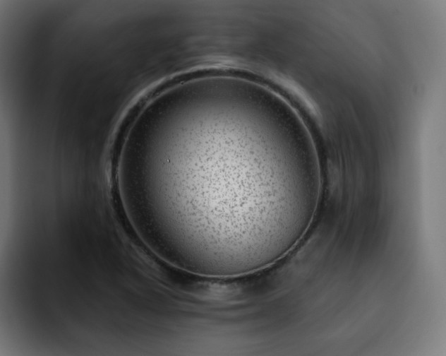 X0000093261318200710031557