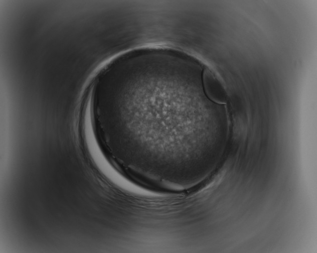 X0000093261319200710031557