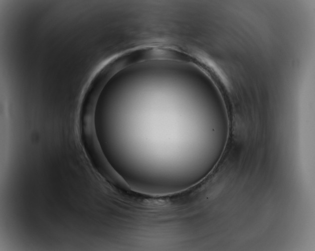 X0000093261320200710031557