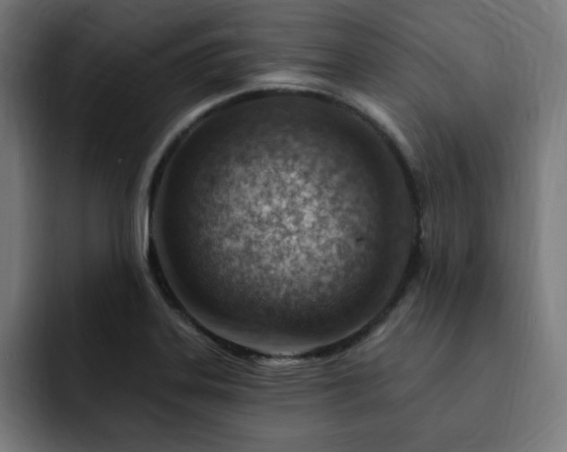 X0000093261323200710031557