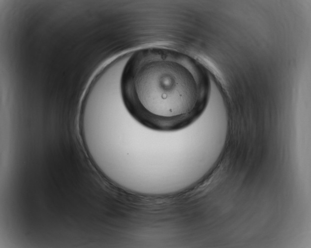 X0000093261324200710031557