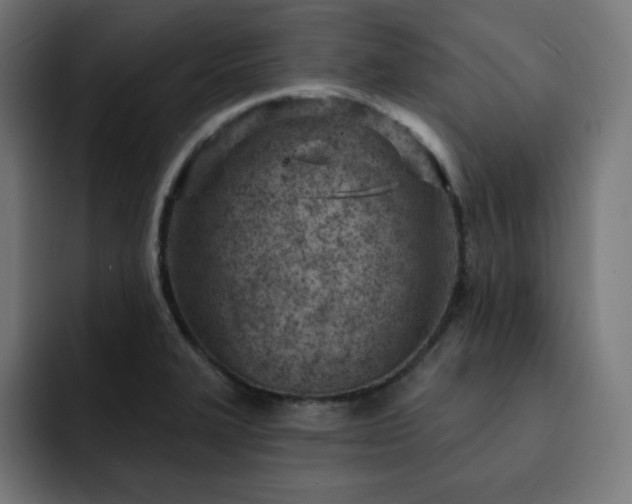 X0000093261327200710031557