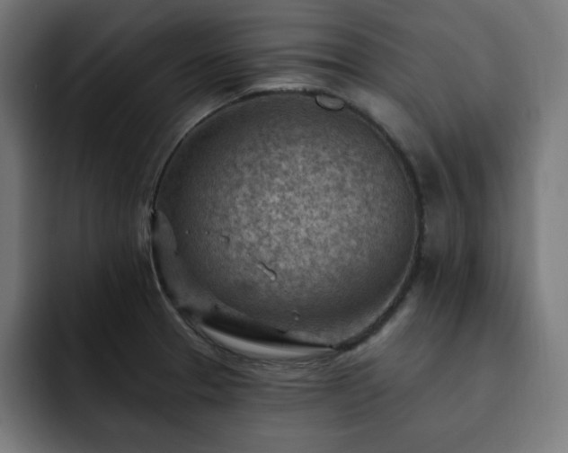 X0000093261329200710031557