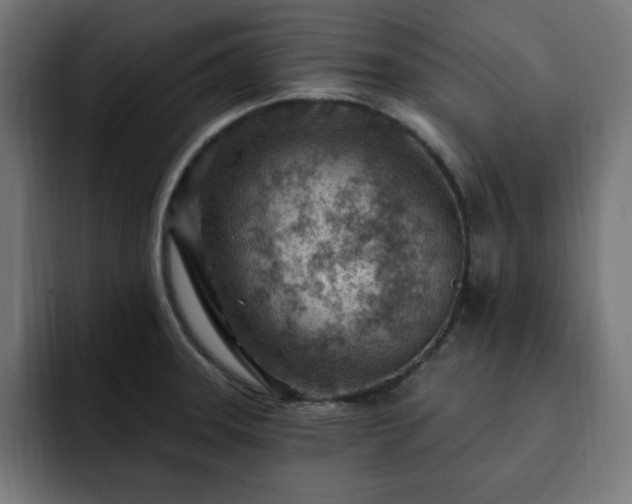 X0000093261331200710031557