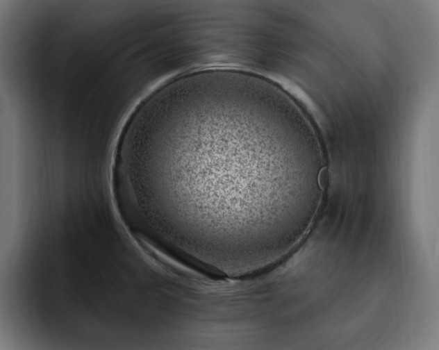 X0000093261333200710031557