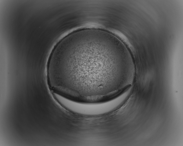 X0000093261335200710031557