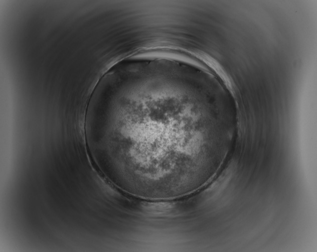 X0000093261337200710031557