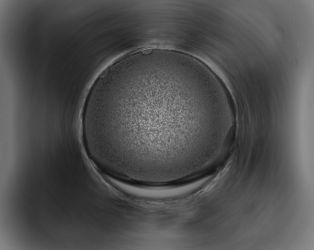 X0000093261341200710031557