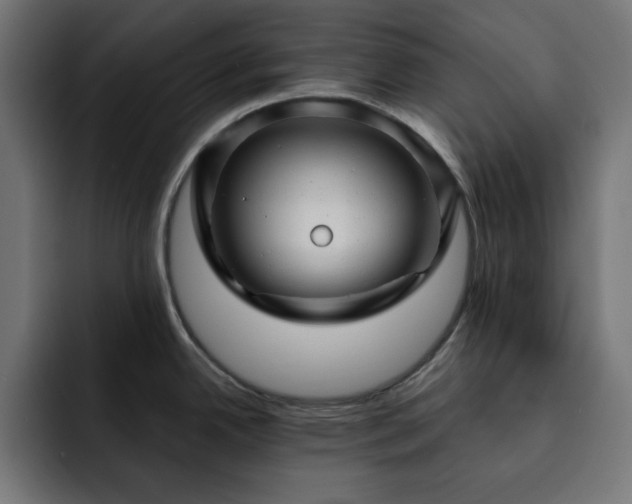 X0000093261342200710031557