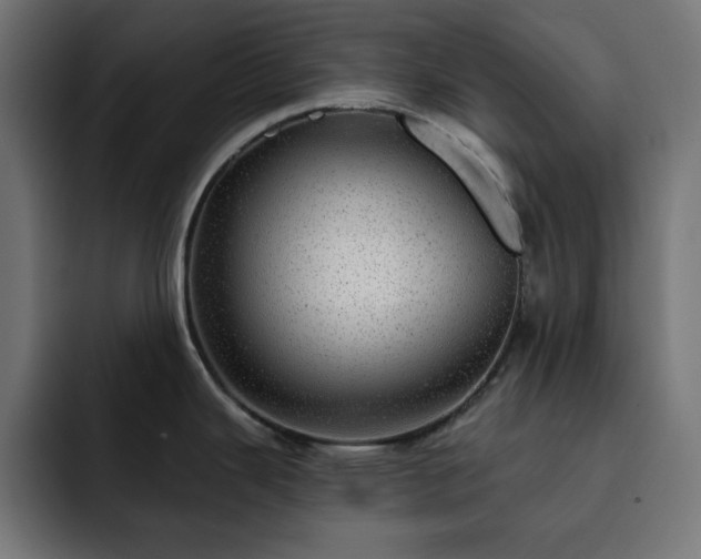 X0000093261343200710031557