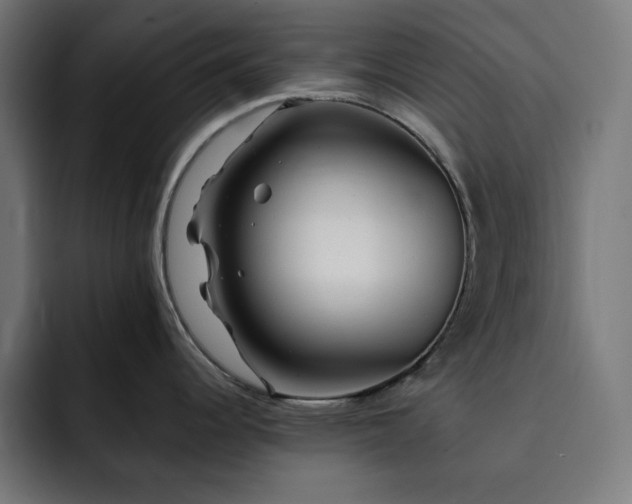 X0000093261344200710031557