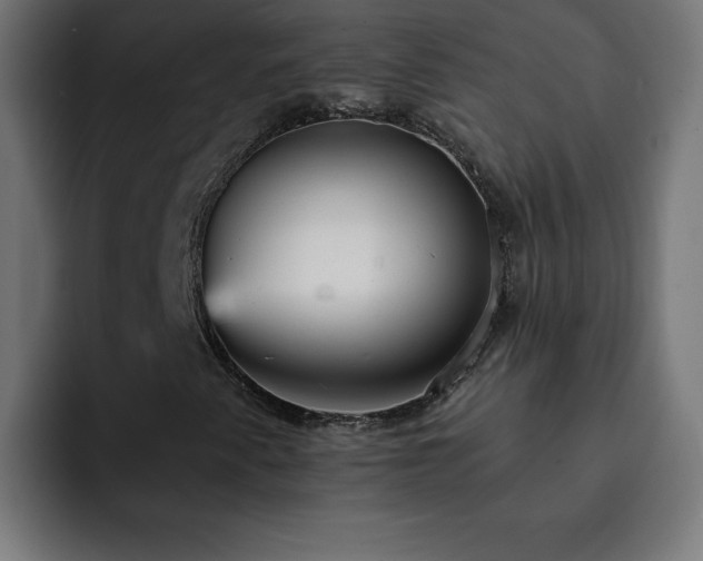 X0000093261345200710031556