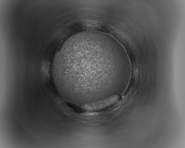 X0000093261346200710031556