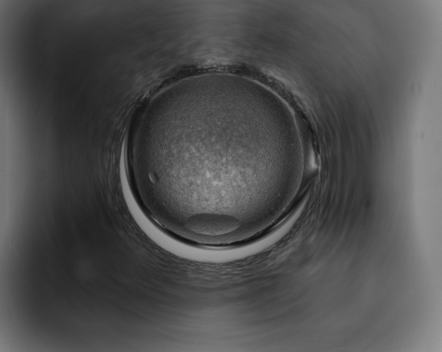 X0000093261348200710031556