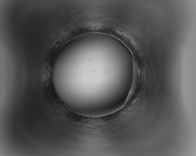 X0000093261349200710031556
