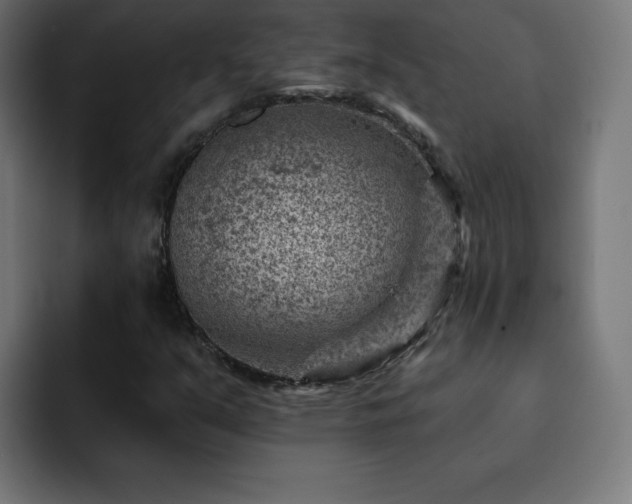X0000093261351200710031556