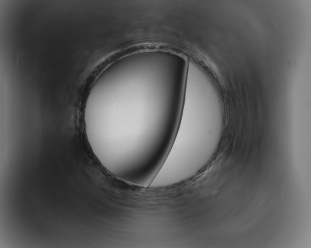 X0000093261352200710031556