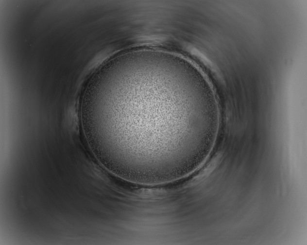 X0000093261354200710031556