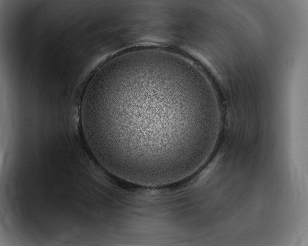 X0000093261355200710031556