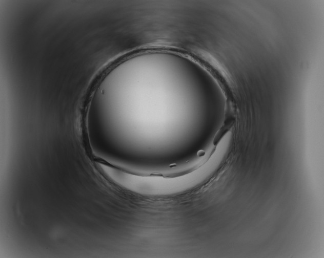 X0000093261356200710031556