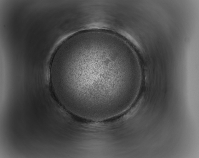 X0000093261358200710031556