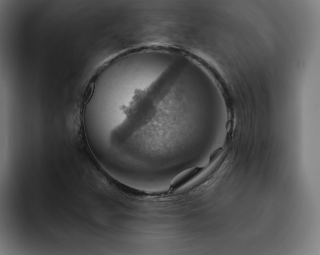 X0000093261359200710031556