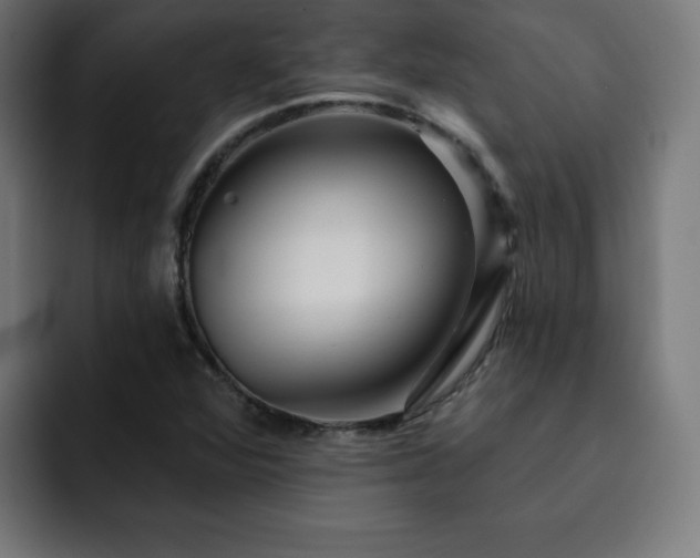 X0000093261360200710031556