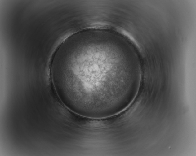 X0000093261362200710031556