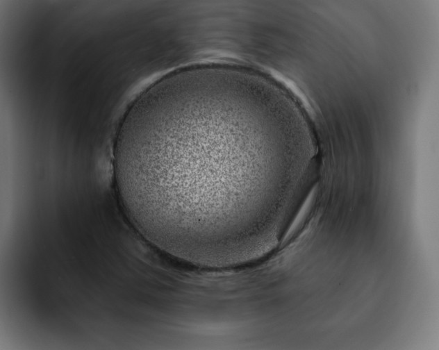 X0000093261363200710031556