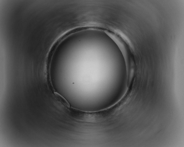 X0000093261364200710031556