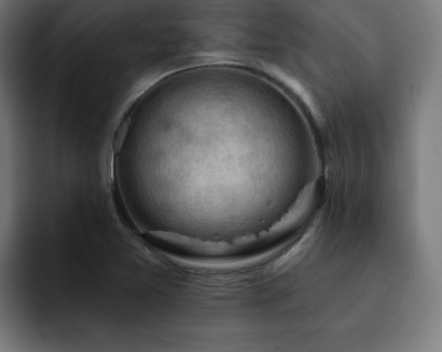 X0000093261365200710031556