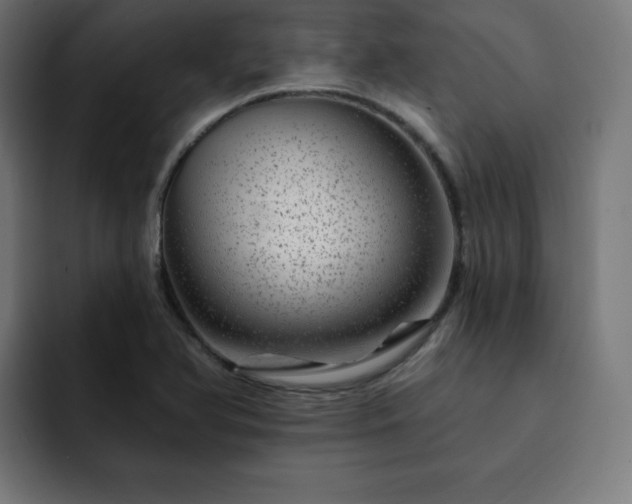 X0000093261366200710031556