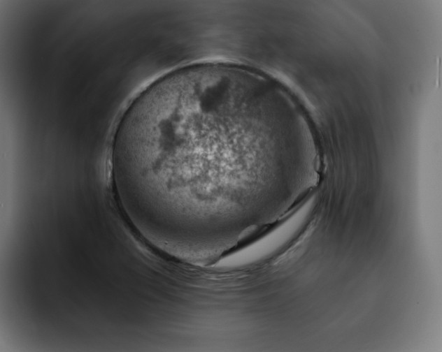 X0000093261367200710031556
