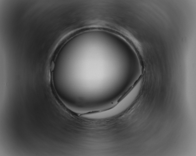 X0000093261368200710031556