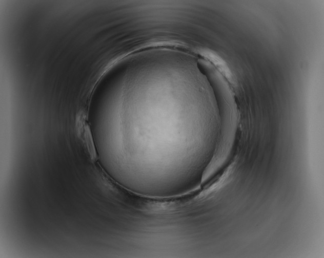X0000093261369200710031556