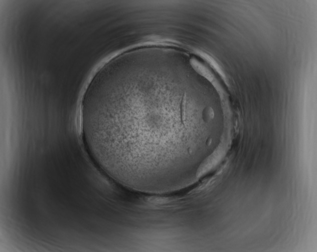 X0000093261371200710031556