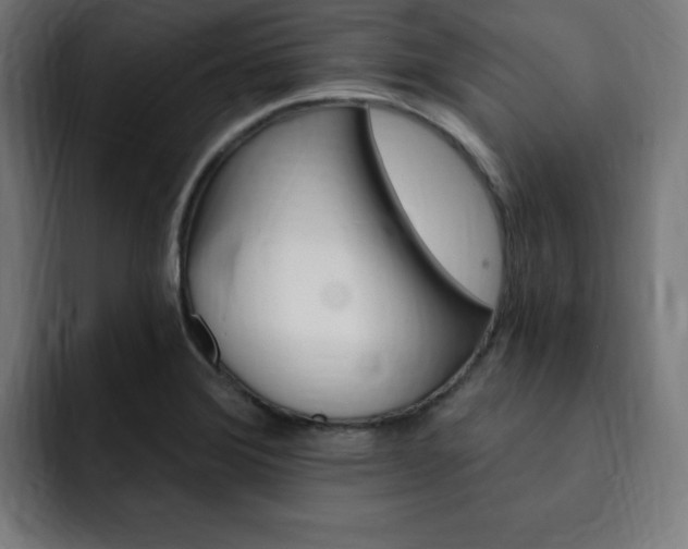 X0000093261372200710031556