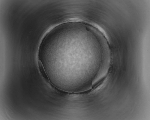 X0000093261373200710031556
