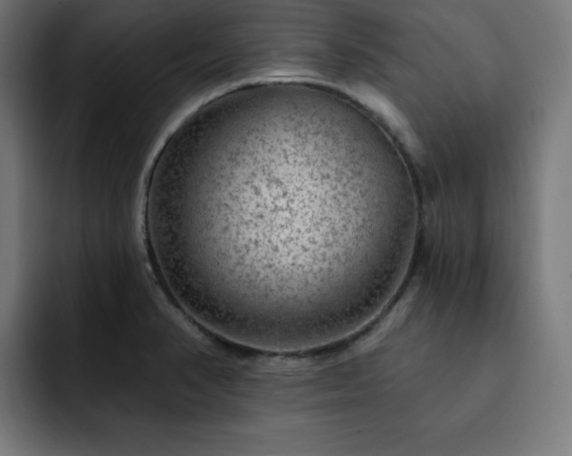 X0000093261374200710031556