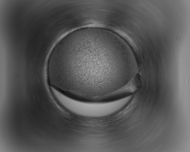 X0000093261375200710031556