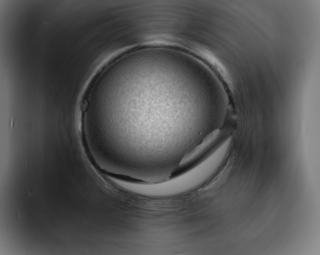X0000093261376200710031556