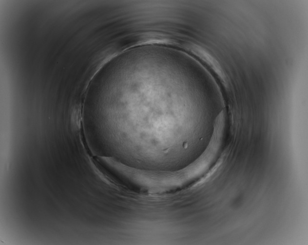 X0000093261377200710031556
