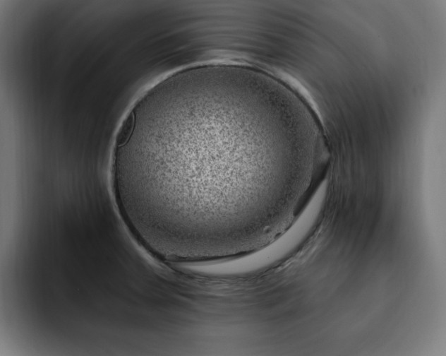 X0000093261379200710031556