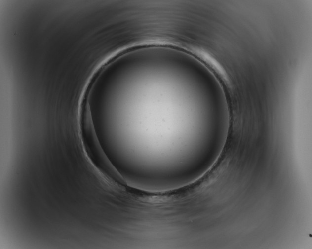 X0000093261380200710031556