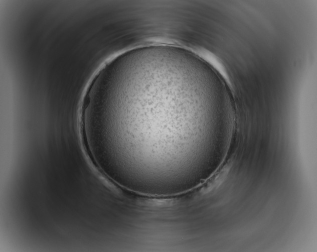 X0000093261381200710031556