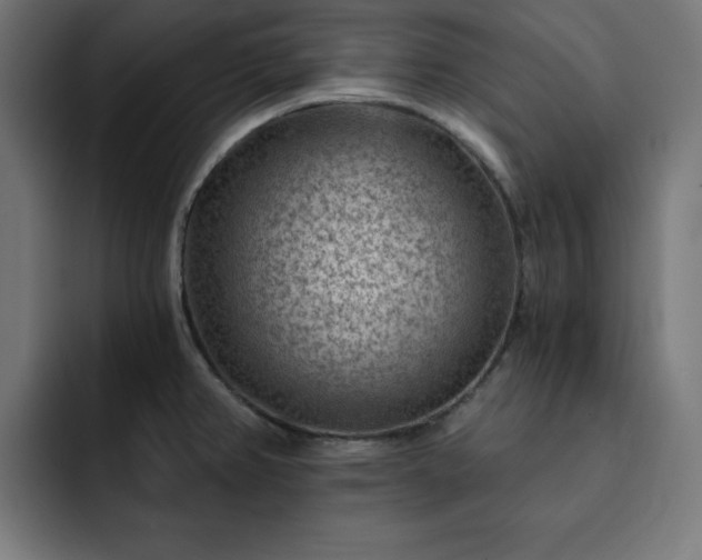 X0000093261382200710031556
