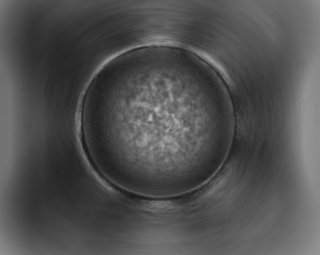 X0000093261383200710031556