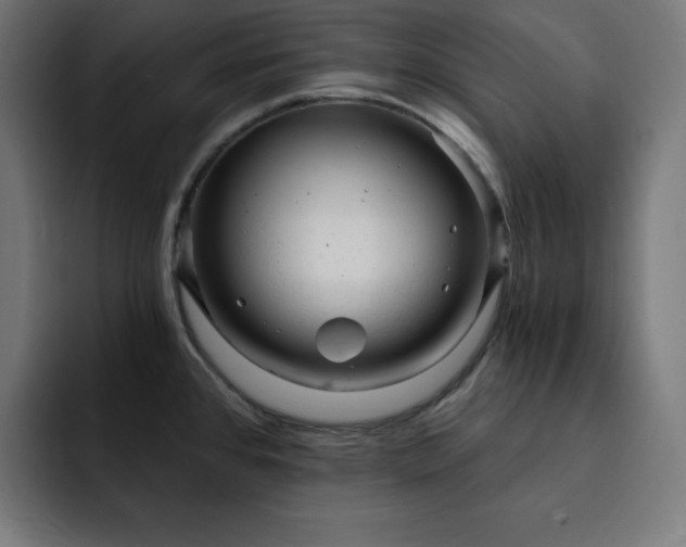 X0000093261384200710031556