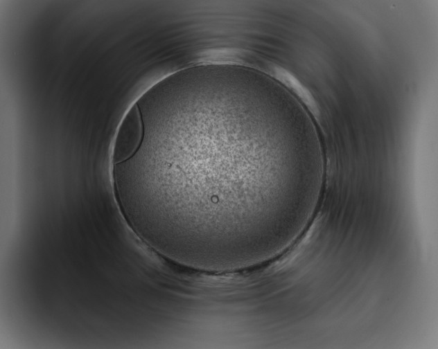 X0000093261386200710031556