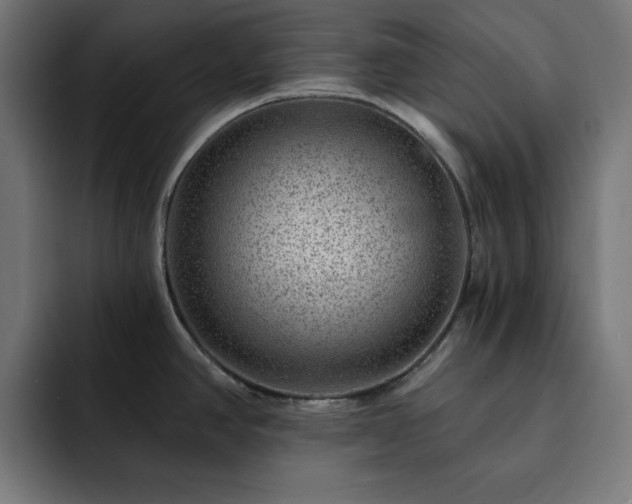 X0000093261390200710031556